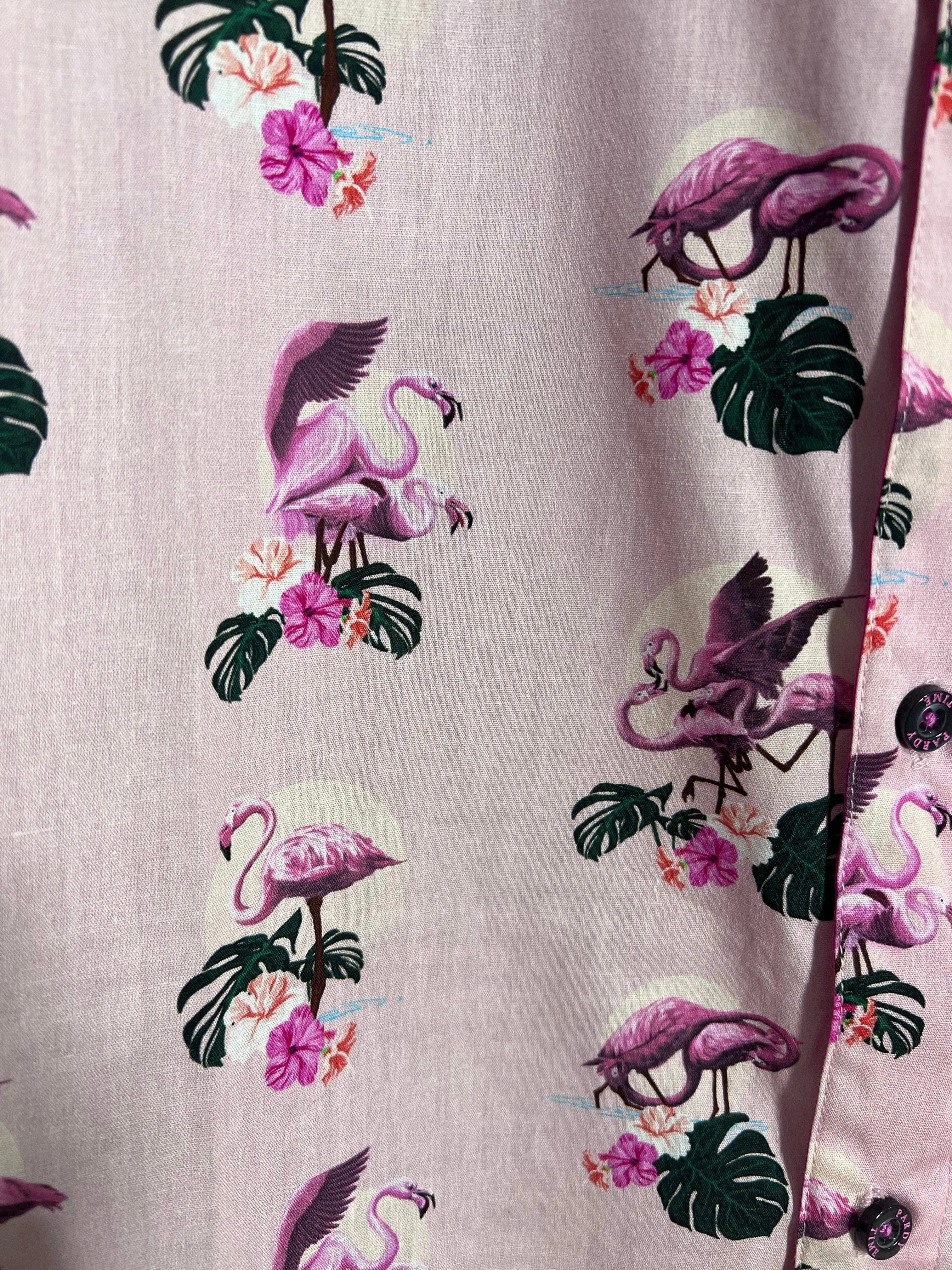 Frisky Flamingos Button Down Shirt