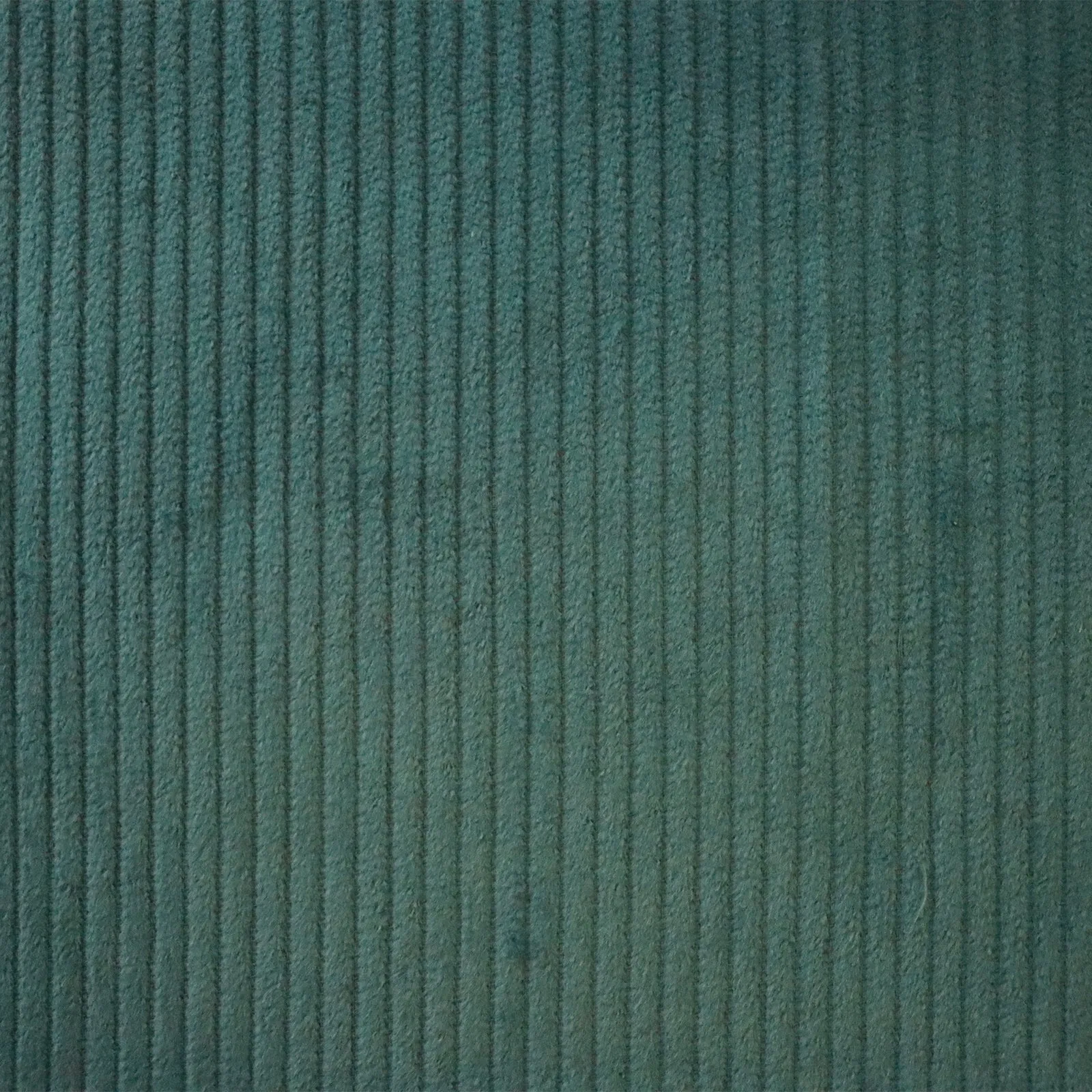 Jumbo Cotton Corduroy - Aqua